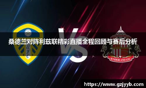 桑德兰对阵利兹联精彩直播全程回顾与赛后分析